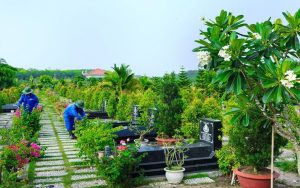 Trồng Cây Trên Mộ - Trồng Cây Gì Trên Mộ Là Tốt Nhất? Gợi Ý Phù Hợp Với Phong Thủy Và Đá Mỹ Nghệ