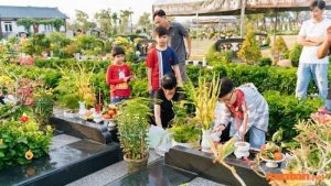 Nhà Có Người Mang Bầu Có Nên Bốc Mộ? Những Điều Cần Biết Trong Phong Thủy Tâm Linh