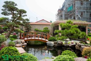 Cầu đá sân vườn – biểu tượng kết nối và thịnh vượng